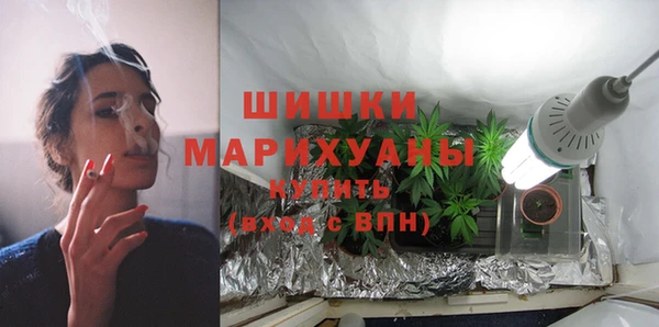 прущие крисы Арсеньев